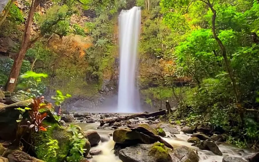 Kauai: Guided Kayak and Hike to Secret Falls